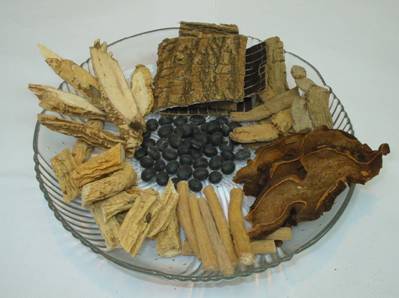 用料:杜仲三钱,怀牛膝三钱,巴戟天三钱,狗脊三钱,牛大力四钱,党参四钱